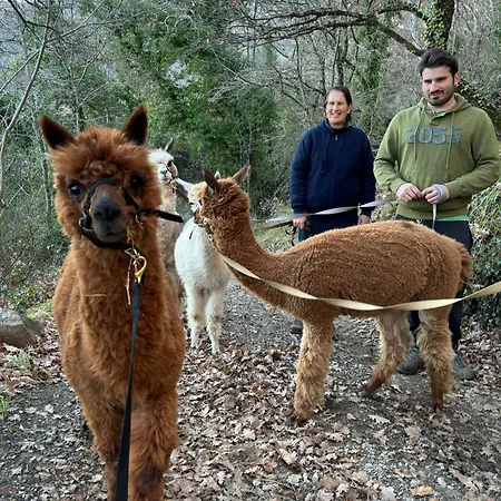 Il Castellare * Poggioni